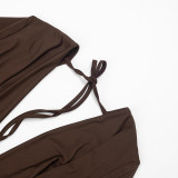 Spring Women's Solid Plunge Neck Lace-up Backless Mesh Long Sleeve Bodycon Mini Dress