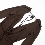 Spring Women's Solid Plunge Neck Lace-up Backless Mesh Long Sleeve Bodycon Mini Dress