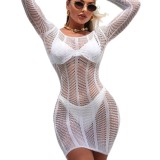 Sexy Lingerie Tight-Fitting Bodycon Low Back Mesh Dress