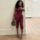 Women's Spring & Summer Halter Neck Lace-Up Low Back Solid Ruched Slim Waist Cropped Jumpsuit