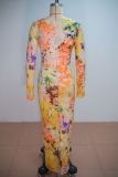 Women's Spring Fashion Slim Waist Bodycon Printed Long Dress