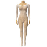 Sexy Lace Long Sleeve Hollow Tight-Fitting Bodystocking Nightclub Wear