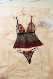Spring / Summer Embroidered Lace See-Through Sexy Lingerie