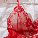 Sexy Embroidered Lace Strap Bra Set