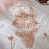 Sexy Embroidered Lace Strap Bra Set