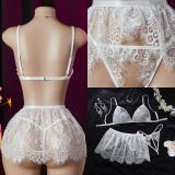 Sexy Lace Bikini Set See-Through Lingerie