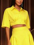 Chic Party Two-Piece Set Turndown Collar Crop Shirt with Irregular Pleated Maxi Skirt