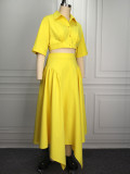 Chic Party Two-Piece Set Turndown Collar Crop Shirt with Irregular Pleated Maxi Skirt