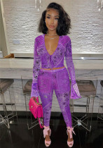 Women Sexy Mesh Printed Top and Pant Two-piece sets