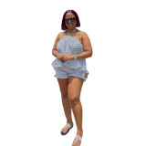 Women Elegant Halter Neck Sleeveless Striped Top and Shorts Two-Piece Set