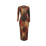 Women Sexy Long-Sleeved Printed Dress