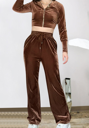 Women Solid Casual Velvet Zippered Hooded Long-Sleeved Top with Pockets and Pants Two-Piece Set