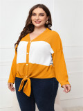Spring/Fall Plus Size Women's Long Sleeve V-Neck Casual Knit Top