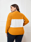 Spring/Fall Plus Size Women's Long Sleeve V-Neck Casual Knit Top
