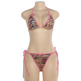 Women's Spring/Summer Sexy Leopard Print Two-Piece Bikini Set