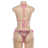 Women's Spring/Summer Sexy Leopard Print Two-Piece Bikini Set