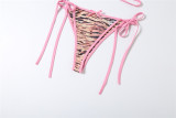 Women's Spring/Summer Sexy Leopard Print Two-Piece Bikini Set