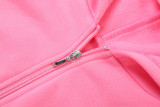 Women Spring Casual Hooded Crop Top and Wide-Leg Pants Two-Piece Set