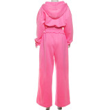 Women Spring Casual Hooded Crop Top and Wide-Leg Pants Two-Piece Set