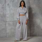 Women Spring Casual Hooded Crop Top and Wide-Leg Pants Two-Piece Set