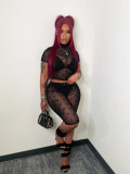 Women's Sexy Flocked Sheer Mesh Two-Piece Fashion Shorts Set