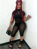 Women's Sexy Flocked Sheer Mesh Two-Piece Fashion Shorts Set