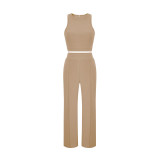 Women's Sleeveless Tank Top and Pants Casual Solid Two-Piece Set