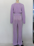 Spring/Fall Women's Elegant Pleated Deep V-Neck Lace-Up Long Sleeve Top & High-Waist Straight Pants Casual Set