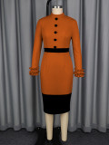 Women's Elegant Contrast Stand Collar Ruffle Long Sleeve Slim Waist Bodycon Party Dress