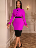 Women's Elegant Contrast Stand Collar Ruffle Long Sleeve Slim Waist Bodycon Party Dress