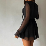 Women See-Through Long Sleeve Ruffle Drawstring V Neck Mini Dress