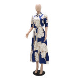 Irregular High Waist Chic Printed Long Dress