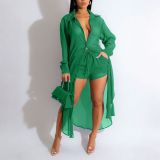Women's See-Through Long Sleeve Button-Down Side Slit Shirt and Shorts Set