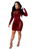 Spring Women's Chic Mesh Patchwork Velvet Long Sleeve Dress
