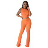 Women's Casual Fashion Solid Ribbed Sleeveless Top and Flared Pants Two-Piece Set