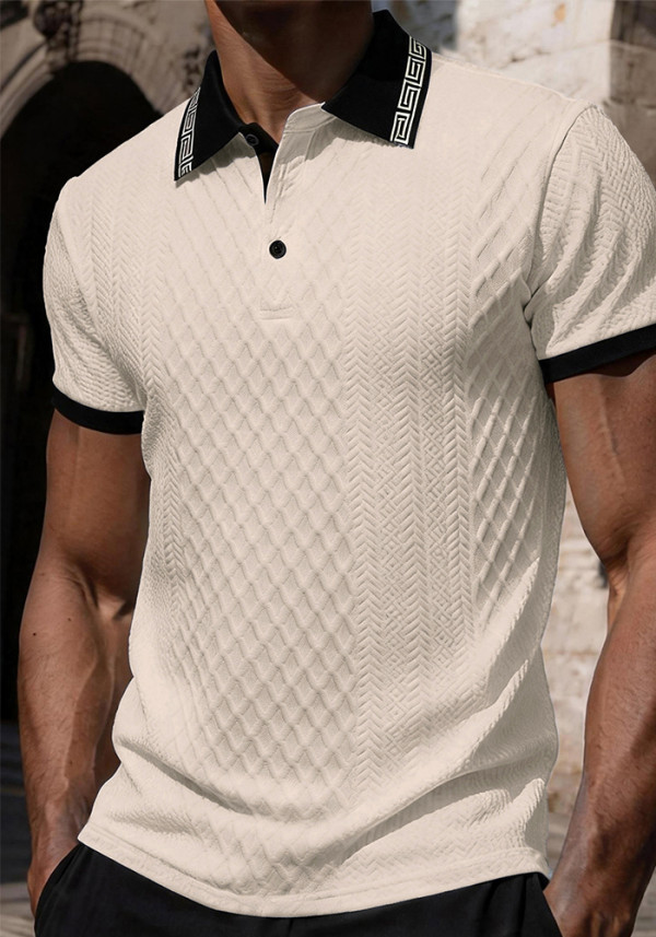 Men's Spring/Autumn Turndown Collar Knitting Polo Top