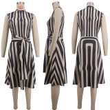 Women Turtleneck Striped Print Sleeveless Dress