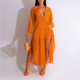 Women's See-Through Long Sleeve Button-Down Side Slit Shirt and Shorts Set