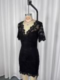 Women Sexy V-Neck Lace See-Through Bodycon Dress