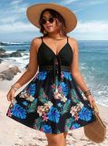 Plus Size Sexy Print V-Neck Lace Suspender Dress