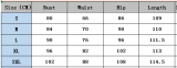 Spring Women's Lace Patchwork Bodycon Dress