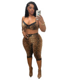 Women Sexy Leopard Lace Bra & Capri Pants Set