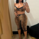 Women Sexy Leopard Lace Bra & Capri Pants Set