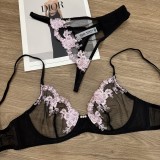 Women's Plus Size Lace Embroidery Sheer Bra & Panty Set