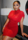 Women's Chic High Neck Slim Fit Bodycon Dress