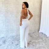 Spring Summer Women's Low Back Draped Top & Wide Leg Pants Set