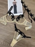 Women's Plus Size Lace Embroidery Sheer Bra & Panty Set