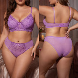 Women's Sheer Bikini Style Sexy Lingerie Set