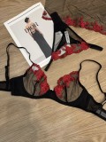 Women's Plus Size Lace Embroidery Sheer Bra & Panty Set