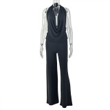 Spring Summer Women's Low Back Draped Top & Wide Leg Pants Set